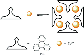 Graphical abstract: Self-assembled Co(ii) molecular squares incorporating the bridging ligand 4,7-phenanthrolino-5,6:5′,6′-pyrazine