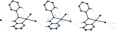 Graphical abstract: Multiple hydrogen bondings in a platinum complex