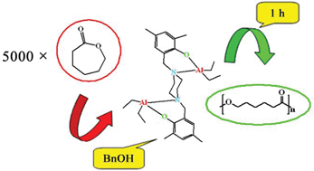 Graphical abstract: Bimetallic aluminum alkyl complexes as highly active initiators for the polymerization of ε-caprolactone
