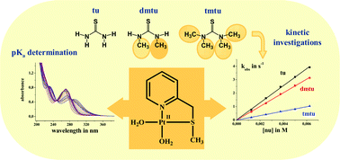 Graphical abstract: Thermodynamic and kinetic behaviour of [Pt(2-methylthiomethylpyridine)(OH2)2]2+