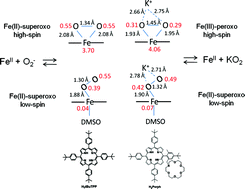 Graphical abstract: Solution behavior of iron(iii) and iron(ii) porphyrins in DMSO and reaction with superoxide. Effect of neighboring positive charge on thermodynamics, kinetics and nature of iron-(su)peroxo product