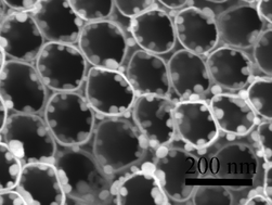 Graphical abstract: In situ controlled growth of well-dispersed gold nanoparticles in TiO2 nanotube arrays as recyclable substrates for surface-enhanced Raman scattering