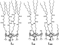 Graphical abstract: Complexation of novel diglycolamide functionalized calix[4]arenes: Unusual extraction behaviour, transport, and fluorescence studies