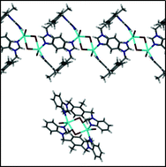 Graphical abstract: Supramolecular isomerism and solvatomorphism in a novel coordination compound