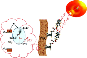 Graphical abstract: Enhanced light harvesting efficiencies of bis(ferrocenylmethyl)-based sulfur rich sensitizers used in dye sensitized TiO2 solar cells