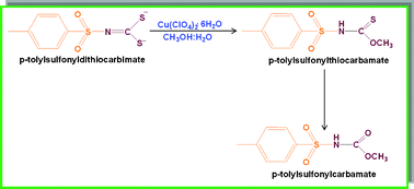 Graphical abstract: Facile in situcopper(ii) mediated C–S bond activation transforming dithiocarbimate to carbamate and thiocarbamate generating Cu(ii) and Cu(i) complexes