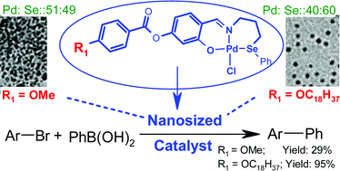 Graphical abstract: Palladium(ii)-selenated Schiff base complex catalyzed Suzuki–Miyaura coupling: Dependence of efficiency on alkyl chain length of ligand