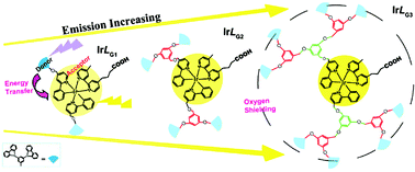 Graphical abstract: Synthesis and properties of a dendritic FRET donor–acceptor system with cationic iridium(iii) complex core and carbazolyl periphery