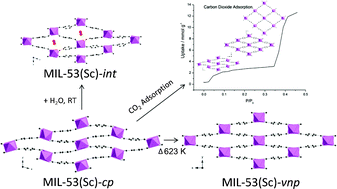 Graphical abstract: A novel structural form of MIL-53 observed for the scandium analogue and its response to temperature variation and CO2 adsorption