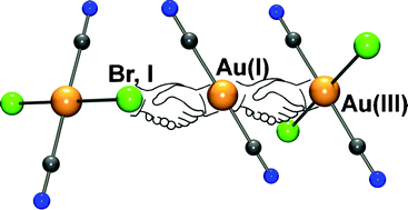 Graphical abstract: Structural organization and dimensionality at the hands of weak intermolecular Au⋯Au, Au⋯X and X⋯X (X = Cl, Br, I) interactions
