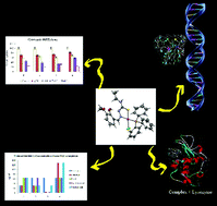 Graphical abstract: Influence of terminal substitution on structural, DNA, Protein binding, anticancer and antibacterial activities of palladium(ii) complexes containing 3-methoxy salicylaldehyde-4(N) substituted thiosemicarbazones
