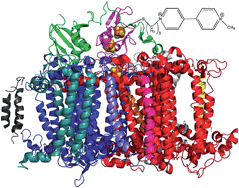 Graphical abstract: Wiring photosystem I for electron transfer to a tethered redox dye