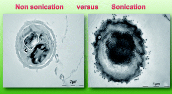 Graphical abstract: Enhancement of fermentative bioenergy (ethanol/hydrogen) production using ultrasonication of Scenedesmus obliquusYSW15 cultivated in swine wastewater effluent