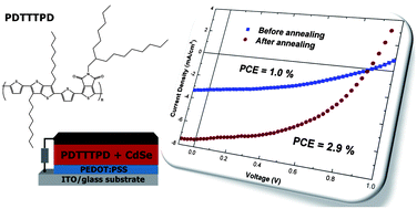 Graphical abstract: Annealing treatment improves the morphology and performance of photovoltaic devices prepared from thieno[3,4-c]pyrrole-4,6-dione-based donor/acceptor conjugated polymers and CdSe nanostructures