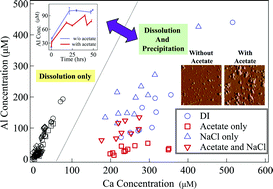 Graphical abstract: The effects of initial acetate concentration on CO2–brine-anorthite interactions under geologic CO2 sequestration conditions