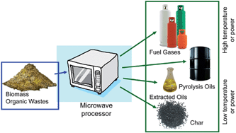 Graphical abstract: Microwave-assisted pyrolysis of biomass feedstocks: the way forward?