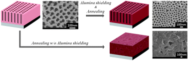 Graphical abstract: Photoelectrochemical water splitting over ordered honeycomb hematite electrodes stabilized by alumina shielding