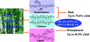 Graphical abstract: One-pot catalytic hydrocracking of raw woody biomass into chemicals over supported carbide catalysts: simultaneous conversion of cellulose, hemicellulose and lignin