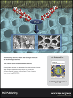 Graphical abstract: Back cover