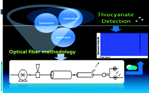 Graphical abstract: Optical fiber based methodology for assessment of thiocyanate in seawater