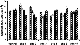 Graphical abstract: Ecotoxicological assessment of acid mine drainage: electrophysiological changes in earthworm (Aporrectodea caliginosa) and aquatic oligochaete (Lumbriculus variegatus)