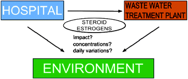 Graphical abstract: Dynamics of steroid estrogen daily concentrations in hospital effluent and connected waste water treatment plant