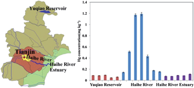 Graphical abstract: Distribution, accumulation and mobility of mercury in superficial sediment samples from Tianjin, northern China