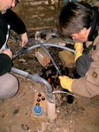 Graphical abstract: How to improve reliability in groundwater analysis: over a decade of experience with external quality control in field campaigns on volatile halogenated compounds