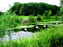 Graphical abstract: Occurrence and distribution of benzothiazole in the Schwarzbach watershed (Germany)