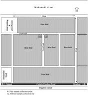 Graphical abstract: Relationship between CH4 and N2O flux from soil and their ambient mixing ratio in a riparian rice-based agroecosystem of tropical region