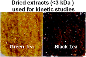 Graphical abstract: Inhibition of angiotensin converting enzyme (ACE) activity by polyphenols from tea (Camellia sinensis) and links to processing method