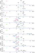 Graphical abstract: Impact of phloretin and phloridzin on the formation of Maillard reaction products in aqueous models composed of glucose and l-lysine or its derivatives