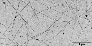 Graphical abstract: Fibrillar structures in food