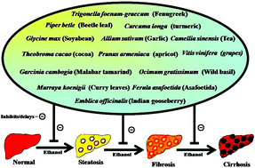 Graphical abstract: Dietary agents in the prevention of alcohol-induced hepatotoxicty: preclinical observations