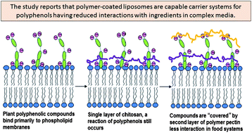 Graphical abstract: Encapsulation of polyphenolic grape seed extract in polymer-coated liposomes