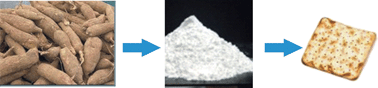 Graphical abstract: Prebiotic effects of cassava fibre as an ingredient in cracker-like products