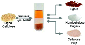 Graphical abstract: From biomass to feedstock: one-step fractionation of lignocellulose components by the selective organic acid-catalyzed depolymerization of hemicellulose in a biphasic system