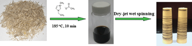 Graphical abstract: Composite fibers spun directly from solutions of raw lignocellulosic biomass dissolved in ionic liquids