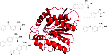 Graphical abstract: Biocatalytic strategies for the asymmetric synthesis of profens – recent trends and developments