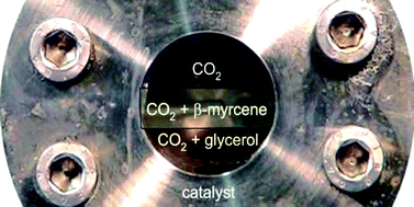 Graphical abstract: Heterogeneous palladium-catalyzed telomerization of myrcene with glycerol derivatives in supercritical carbon dioxide: a facile route to new building blocks