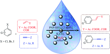 Graphical abstract: Immobilized palladium nanoparticles on a silica–starch substrate (PNP–SSS): as an efficient heterogeneous catalyst for Heck and copper-free Sonogashira reactions in water
