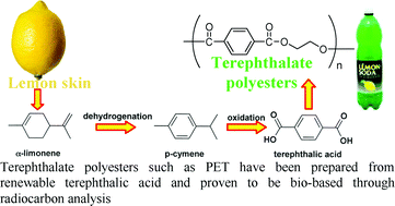 Graphical abstract: Synthesis and radiocarbon evidence of terephthalate polyesters completely prepared from renewable resources