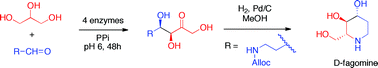 Graphical abstract: Synthesis of non-natural carbohydrates from glycerol and aldehydes in a one-pot four-enzyme cascade reaction