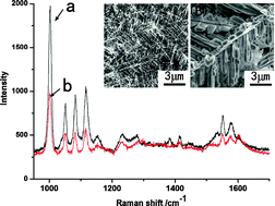 Graphical abstract: A rapid green route for fabricating efficient SERS substrates