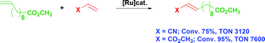 Graphical abstract: Ruthenium–alkylidene catalysed cross-metathesis of fatty acid derivatives with acrylonitrile and methyl acrylate: a key step toward long-chain bifunctional and amino acid compounds