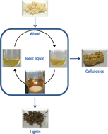Graphical abstract: Extracting wood lignin without dissolving or degrading cellulose: investigations on the use of food additive-derived ionic liquids