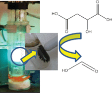 Graphical abstract: Magnetically separable nanocomposites with photocatalytic activity under visible light for the selective transformation of biomass-derived platform molecules