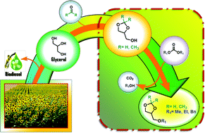 Graphical abstract: Selective catalytic etherification of glycerol formal and solketal with dialkyl carbonates and K2CO3