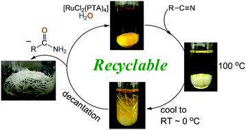 Graphical abstract: Aqueous and biphasic nitrile hydration catalyzed by a recyclable Ru(ii) complex under atmospheric conditions