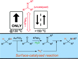 Graphical abstract: Catalysis in flow: Au-catalysed alkylation of amines by alcohols